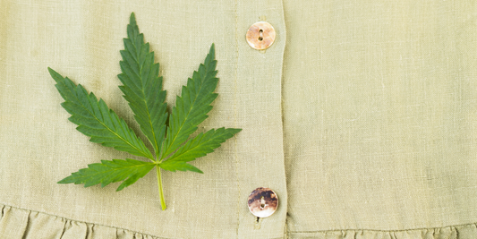 Hemp vs. Cotton: The Ultimate Showdown for Comfort & Sustainability